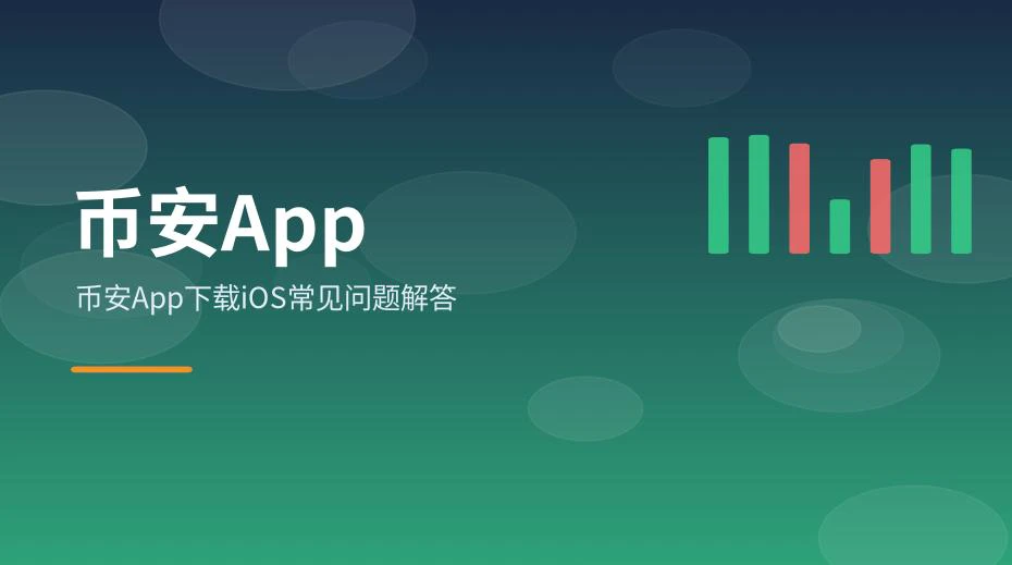 手机上查看应用说明与设置项的界面示意